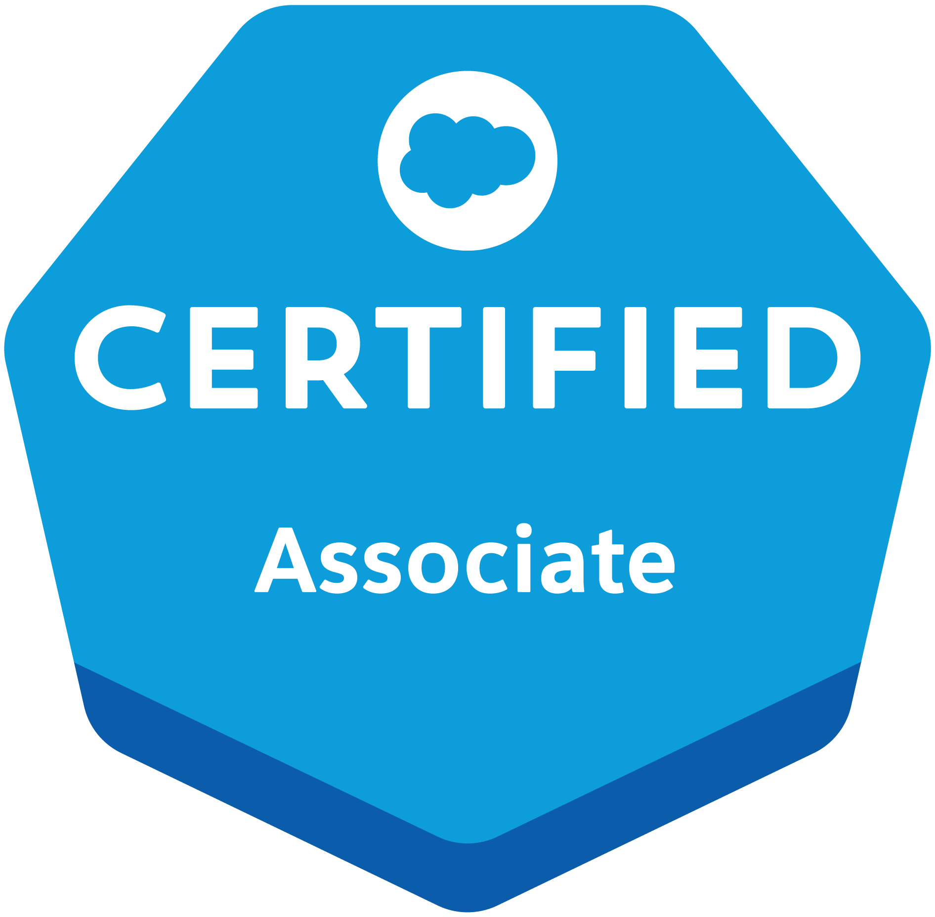 Salesforce Certified AI Associate